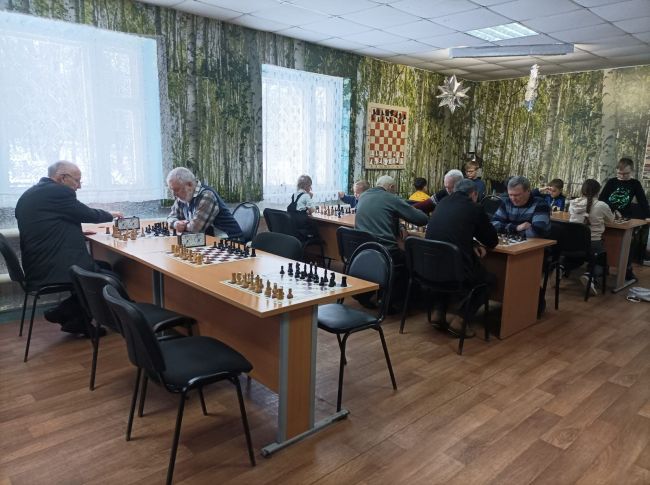 В Донском стартовал традиционный шахматный турнир «У истоков Дона»