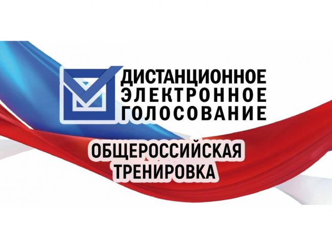Более 100 тысяч тульских избирателей подали заявления для участия в тренировке ДЭГ