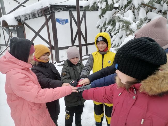 Дети из ДНР и ЛНР играли в зимние игры