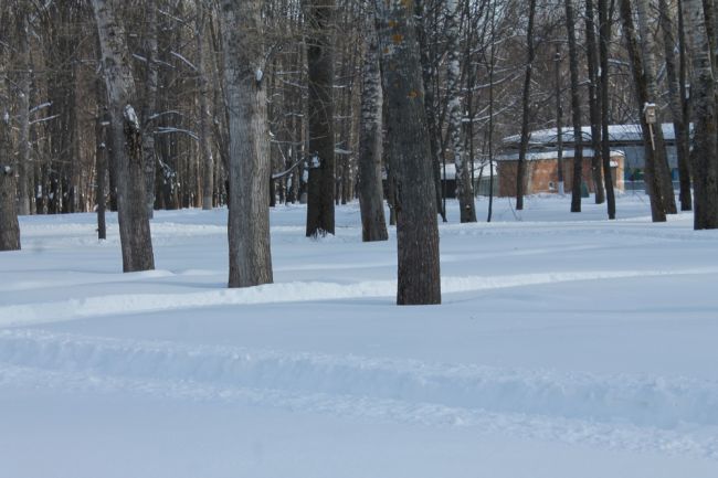 Киреевчанам рассказали, что делать со снегом на участке