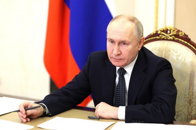 Президент России Владимир Путин поручил расширить федеральный проект «Профессионалитет»