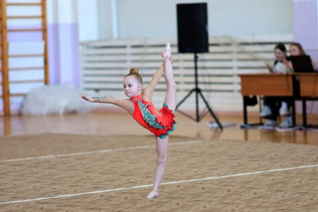 Болоховские гимнастки отлично выступили на турнире в Алексине