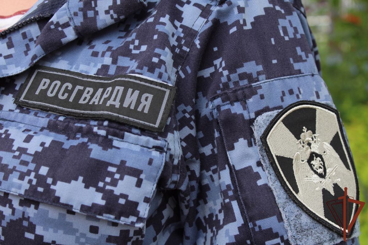 В Тульской области росгвардейцы совершили почти 300 выездов за неделю