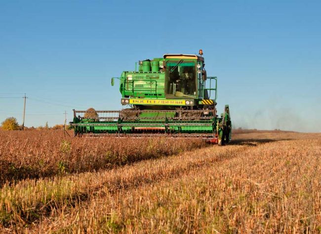 Объясняем.рф: Россия стала устойчивым экспортером зерна