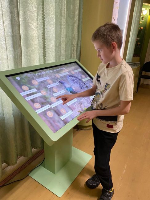 В алексинском музее появились интерактивные столы