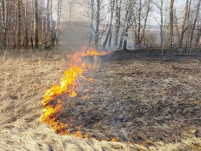 С 1 апреля в Алексине начался пожароопасный период