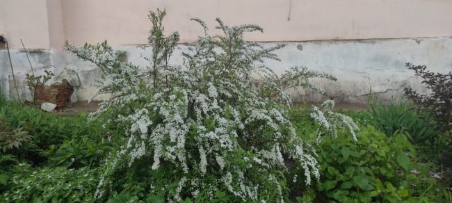 В Алексине ожидается дождь, снег и порывистый ветер