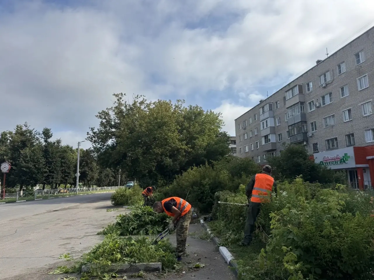 В Алексине продолжаются работы по благоустройству города В Алексине продолжаются работы по благоустройству города