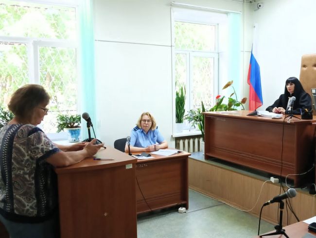 Алексинца, подставившего родную мать с кредитом, суд приговорил к штрафу