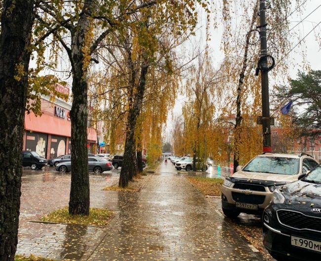Погода на Казанскую: если небо заплачет, то следом за дождём и зима придёт