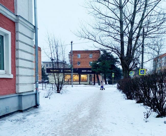 В воскресенье в Алексине ожидается снег с дождём