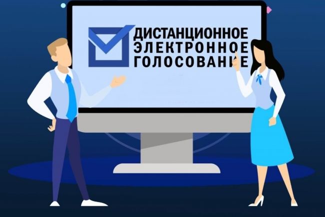 Избиратели из Щёкина и Первомайского с 24 июля смогут подать заявку для участия в ДЭГ