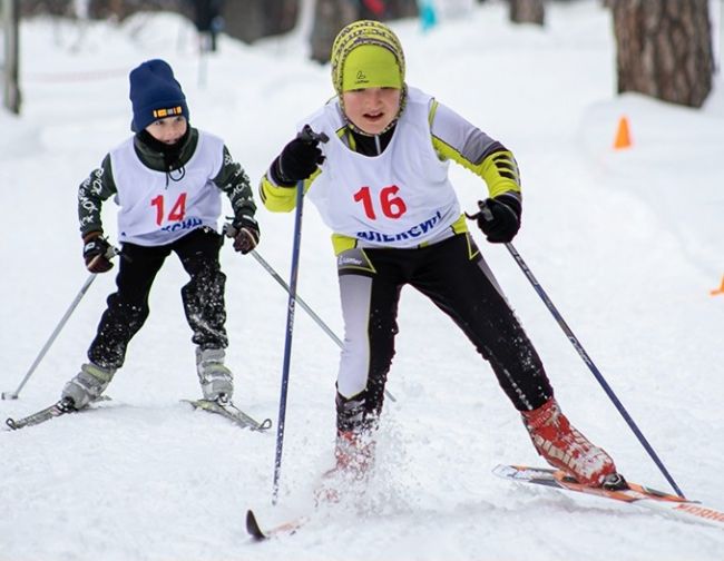 Алексинских лыжников дошкольного возраста приглашают погонять с ветром наперегонки