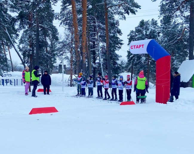 Рождественскую лыжную гонку в Алексине отменили в связи с неблагоприятными погодными условиями