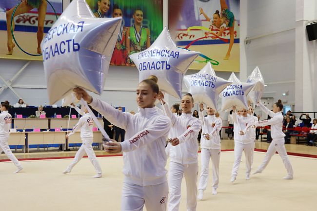 500 спортсменок из 17 регионов ЦФО примут участие в соревнованиях по художественной гимнастике в Туле