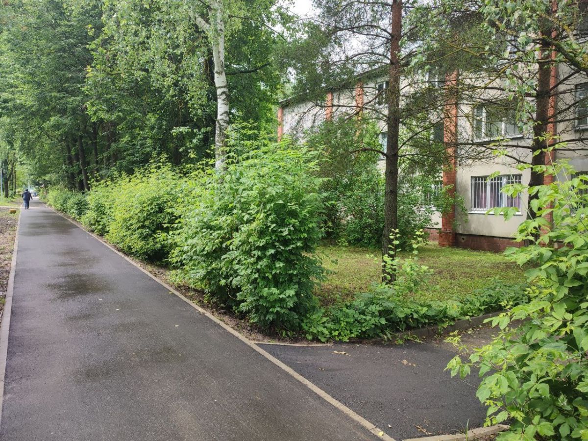 Улица Бандикова в Арсеньево преобразилась