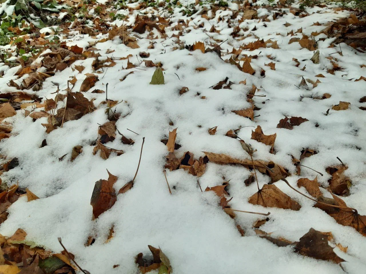 Чего ждать от погоды арсеньевцам? Чего ждать от погоды арсеньевцам?