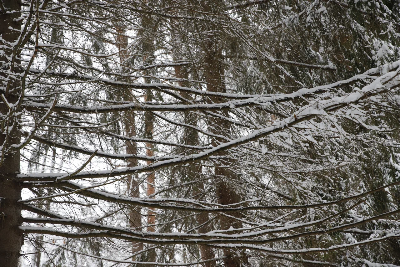 Чего ждать от погоды арсеньевцам? Чего ждать от погоды арсеньевцам?