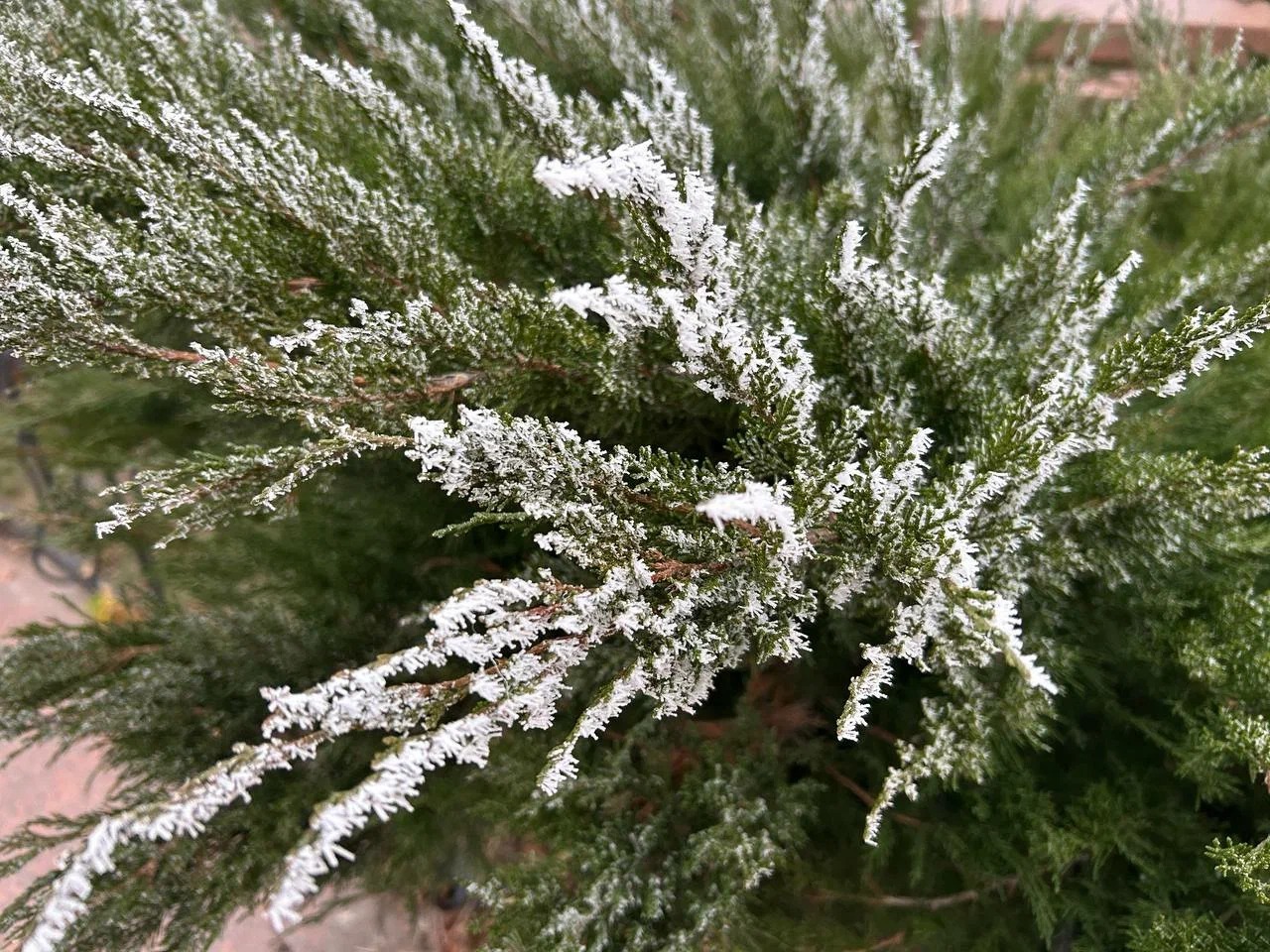 Чего ждать от погоды арсеньевцам?