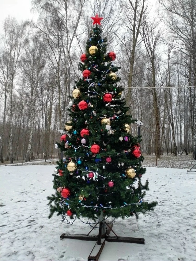 Волшебство приближается: ёлка в Комсомольском парке готова к празднику