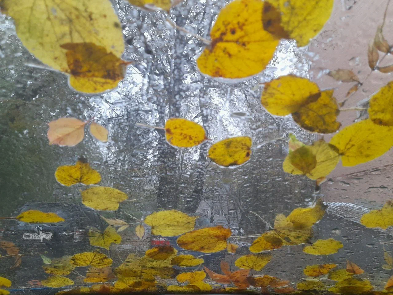 Чего ждать от погоды арсеньевцам?