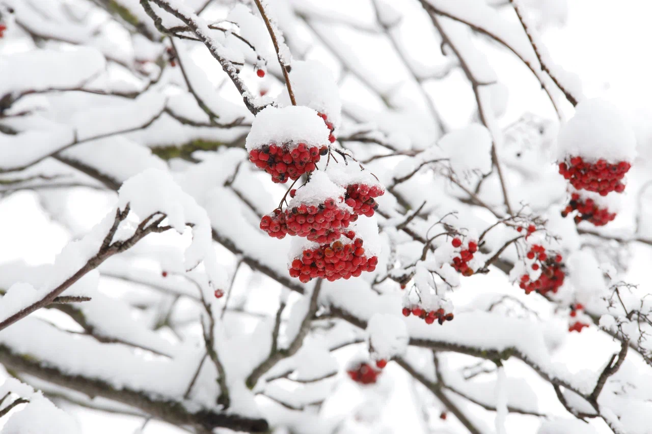 Чего ждать от погоды арсеньевцам?
