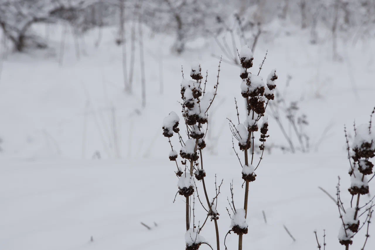 Чего ждать от погоды арсеньевцам?