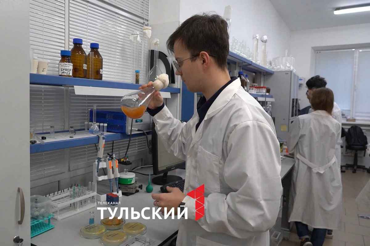 Живая энергия: Тульские ученые открыли потенциал бактерий