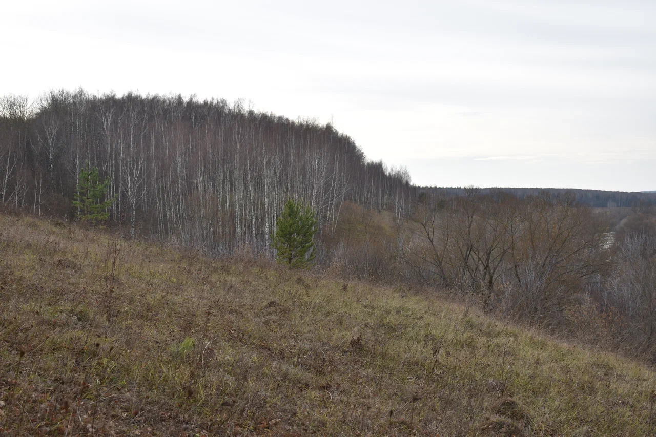 Чего ждать от погоды арсеньевцам?
