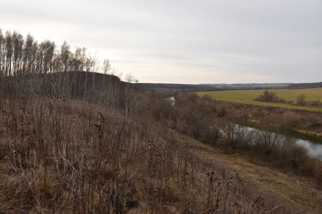 Чего ждать от погоды арсеньевцам?