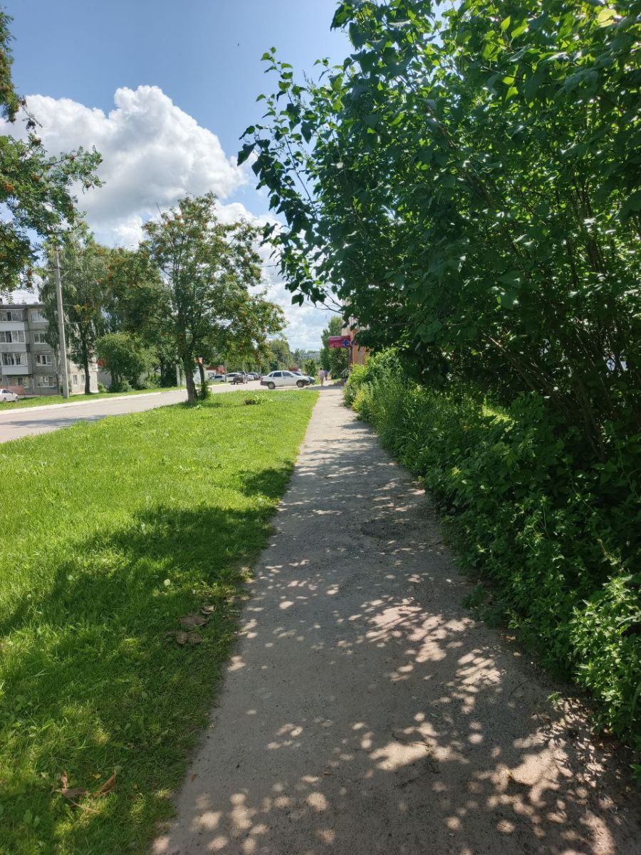 Сегодня арсеньевцев ждёт комфортная тёплая погода
