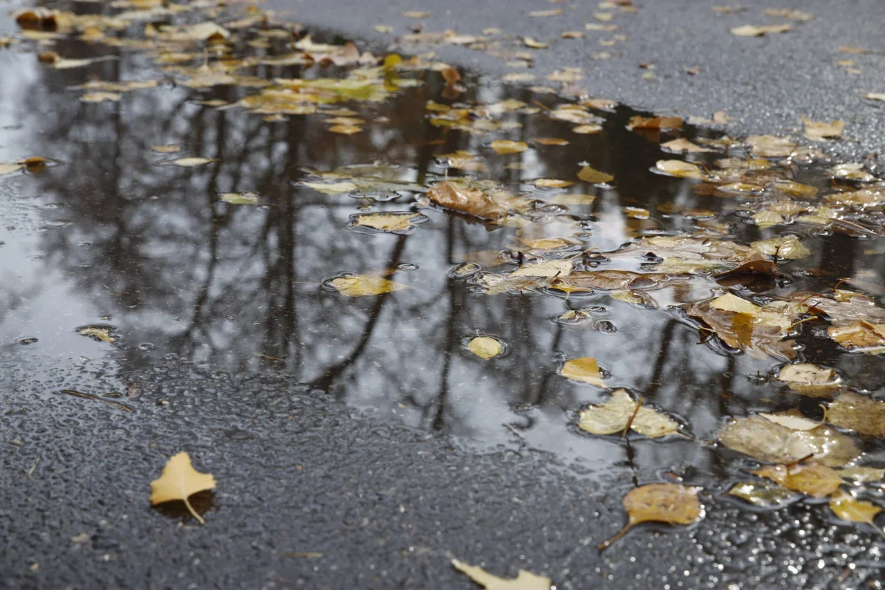 Чего ждать от погоды арсеньевцам?