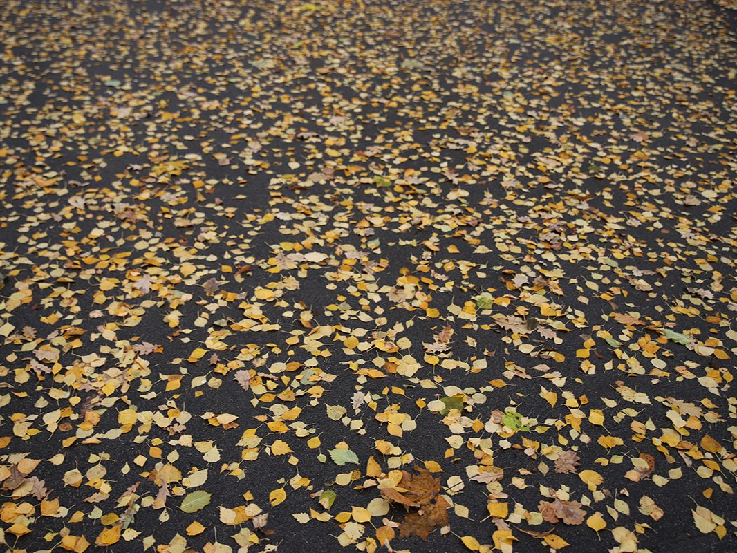 Чего ждать от погоды арсеньевцам?