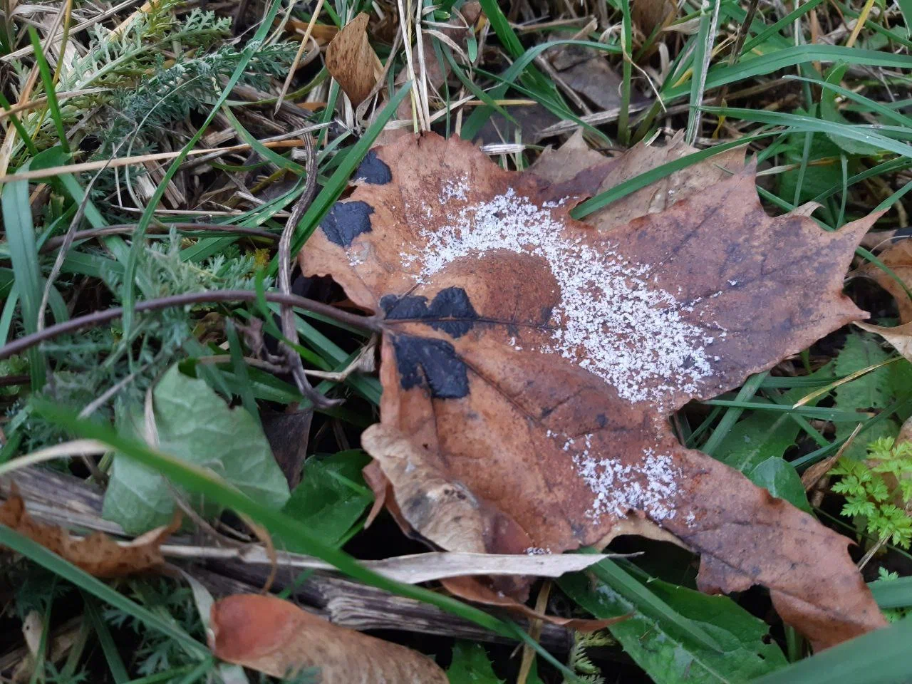 Чего ждать от погоды арсеньевцам? Чего ждать от погоды арсеньевцам?