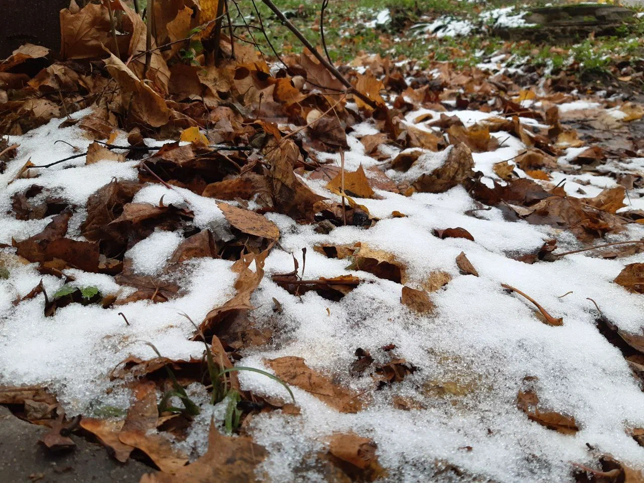 Чего ждать от погоды арсеньевцам? Чего ждать от погоды арсеньевцам?