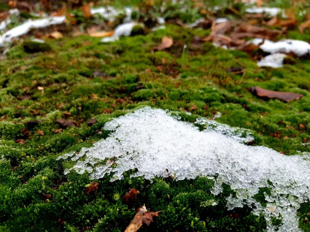 Чего ждать от погоды арсеньевцам? Чего ждать от погоды арсеньевцам?