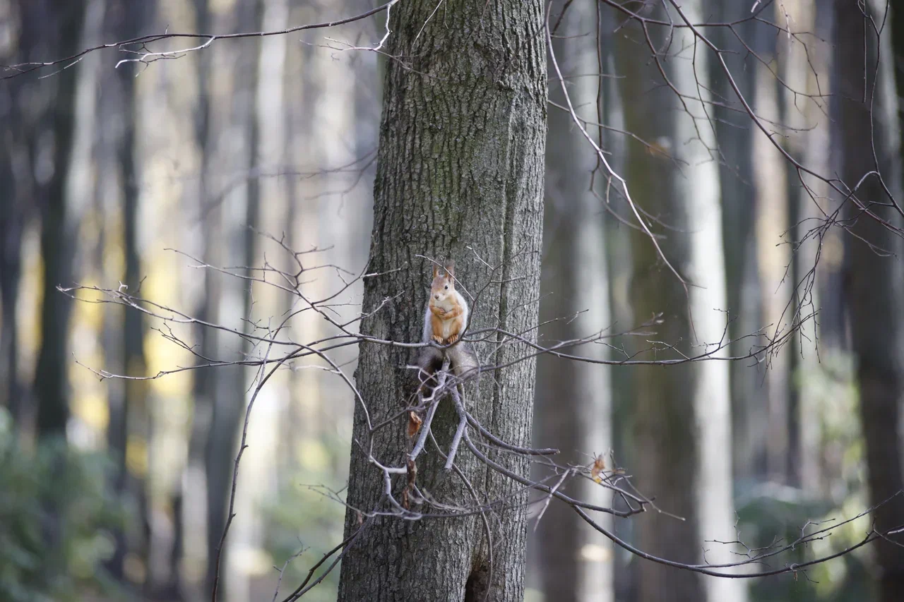 Чего ждать от погоды арсеньевцам? Чего ждать от погоды арсеньевцам?