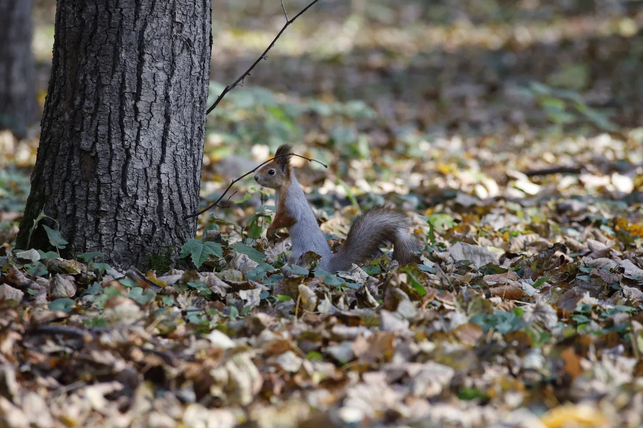Чего ждать от погоды арсеньевцам?