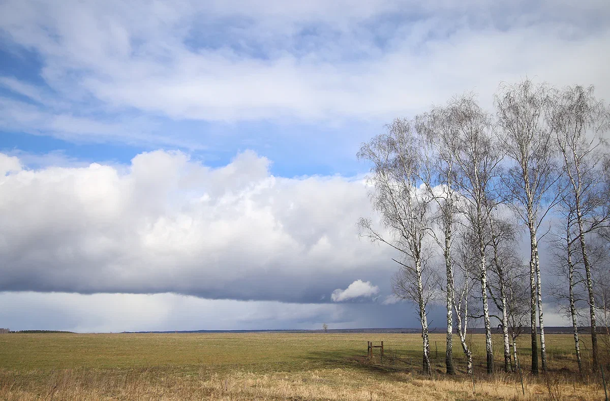 Чего ждать от погоды арсеньевцам?