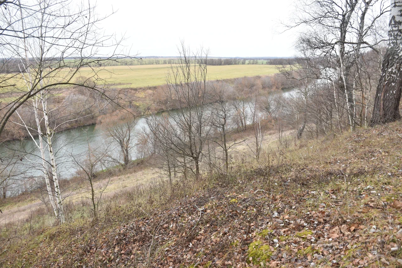 Чего ждать от погоды арсеньевцам? Чего ждать от погоды арсеньевцам?