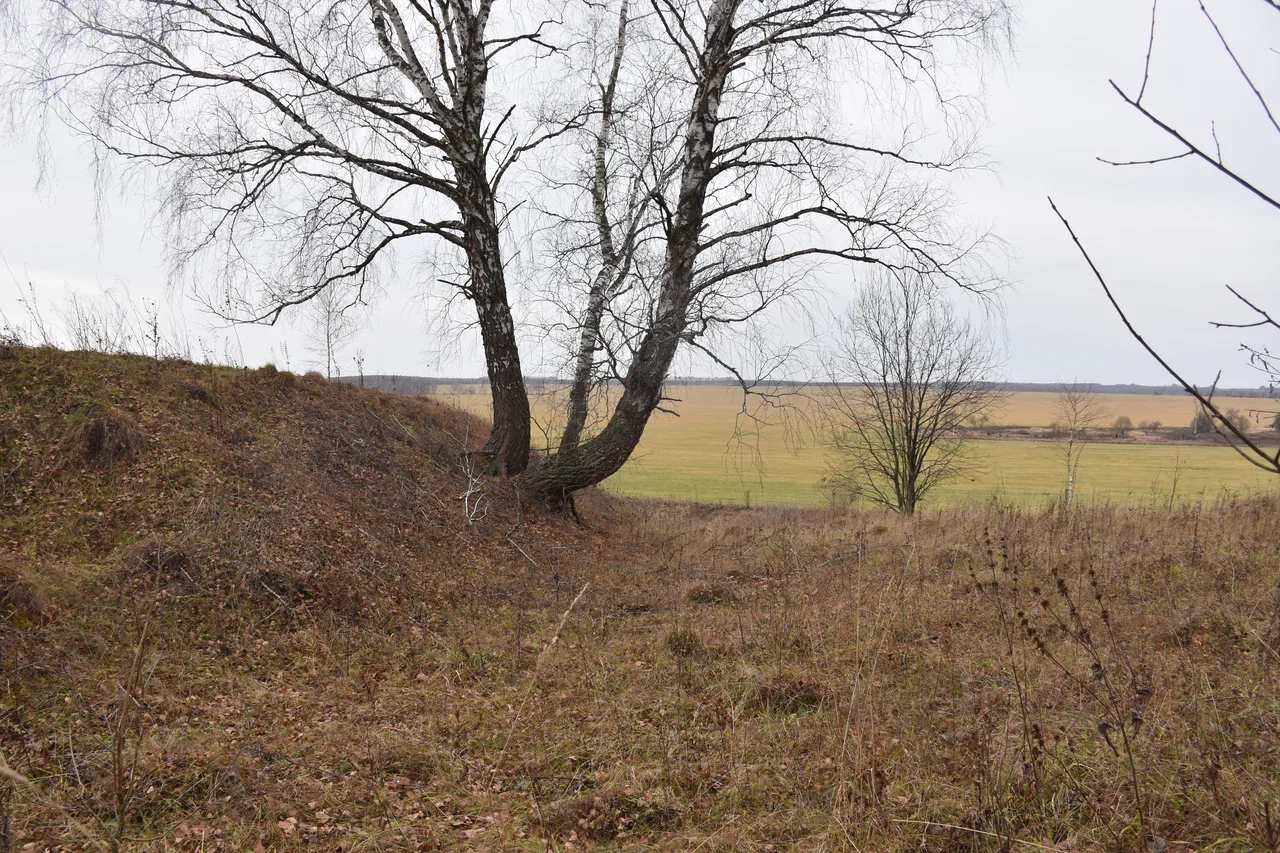 Чего ждать от погоды арсеньевцам? Чего ждать от погоды арсеньевцам?