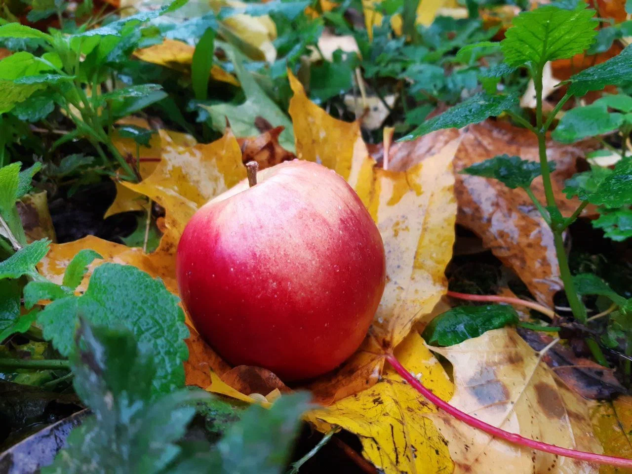 Чего ждать от погоды арсеньевцам?
