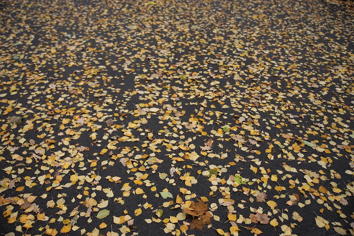 Чего ждать от погоды арсеньевцам? Чего ждать от погоды арсеньевцам?