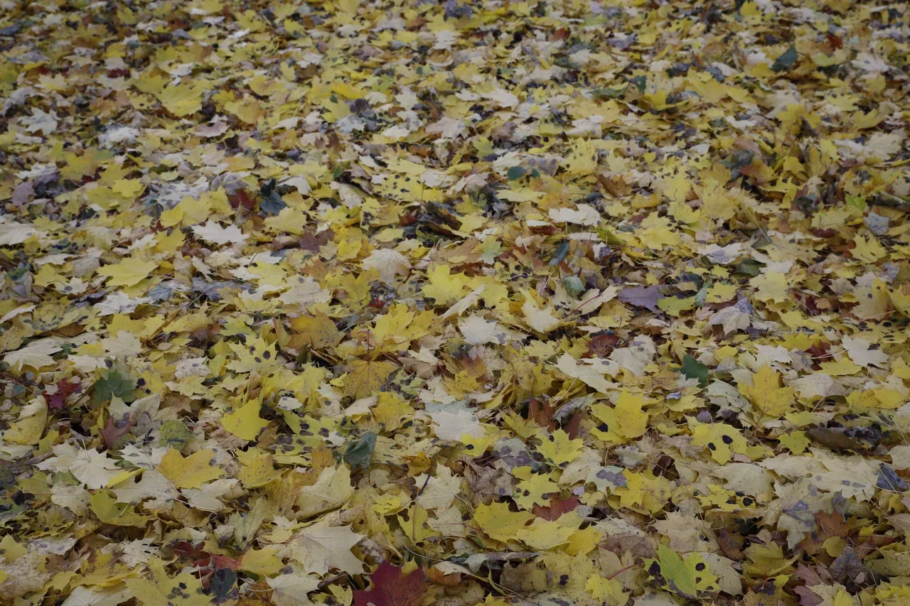 Чего ждать от погоды арсеньевцам? Чего ждать от погоды арсеньевцам?