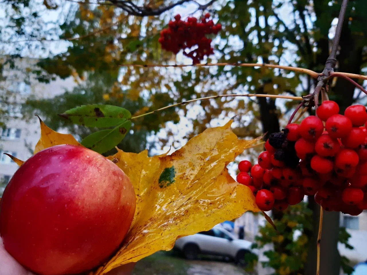 Чего ждать от погоды арсеньевцам? Чего ждать от погоды арсеньевцам?