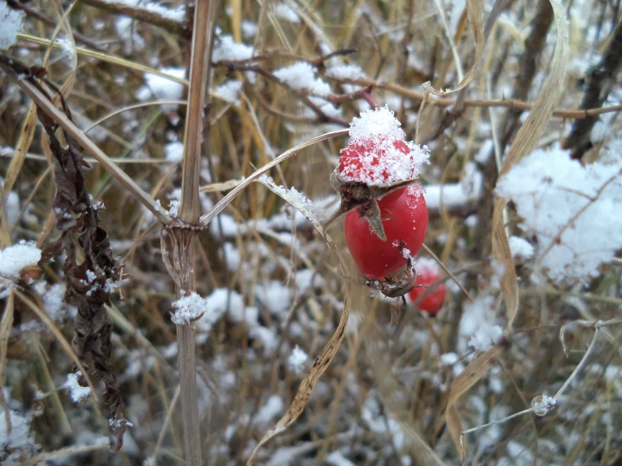 Чего ждать от погоды арсеньевцам?