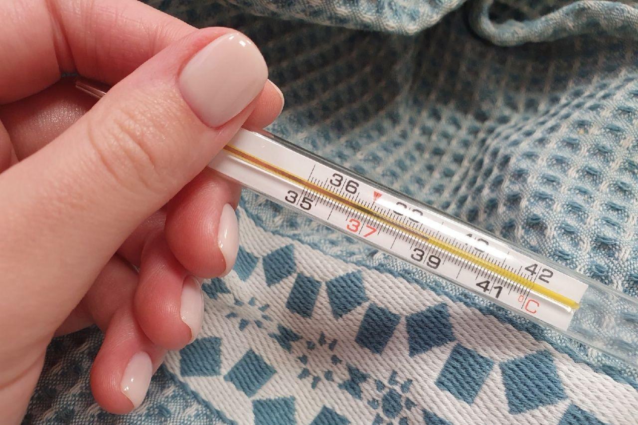 Грипп и ОРВИ в Тульской области: более 3000 случаев за неделю