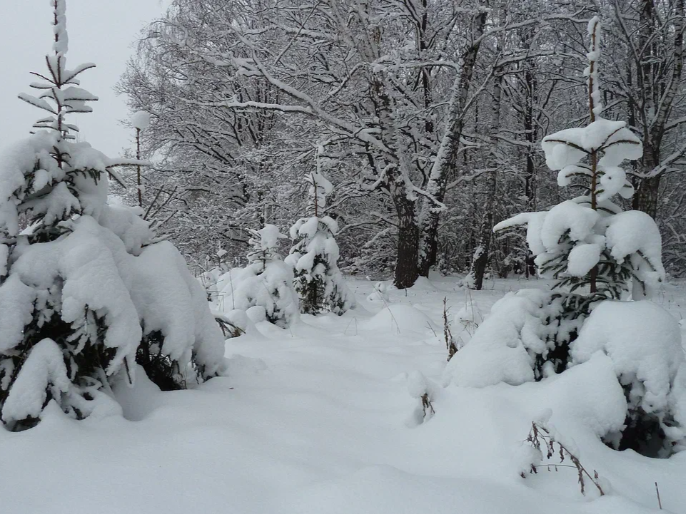 Чего ждать от погоды арсеньевцам?