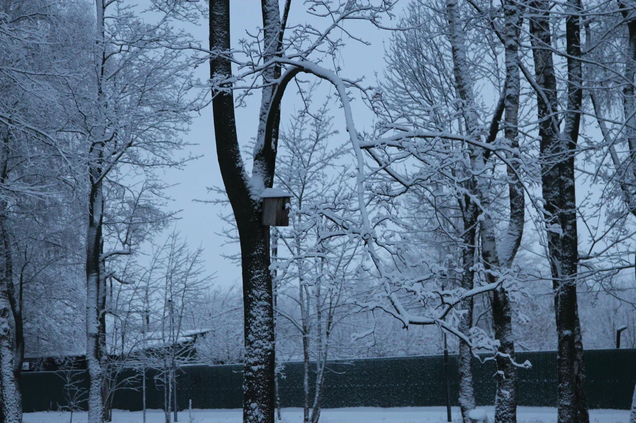 Чего ждать от погоды арсеньевцам?