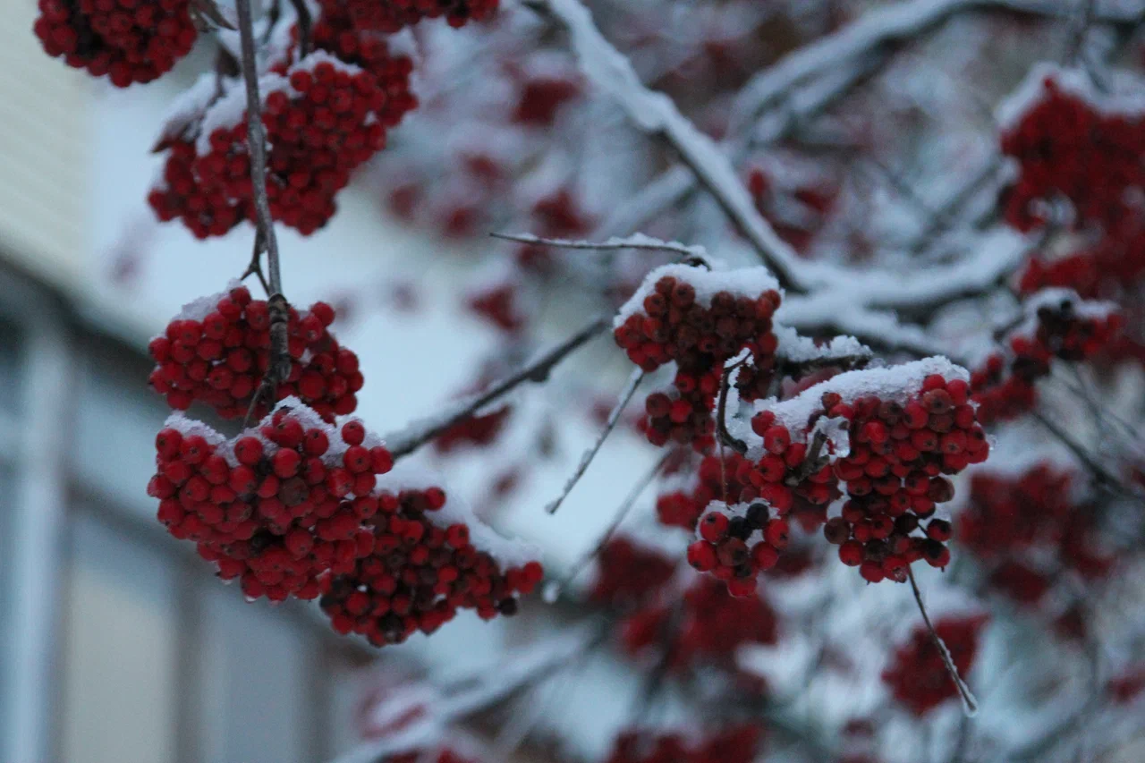 Чего ждать от погоды арсеньевцам?